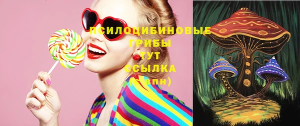 стафф Волоколамск